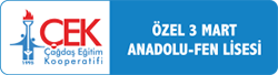 Özel 3 Mart Halil Güleç Fen Lisesi