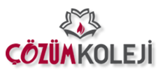 Bursa Çözüm Koleji